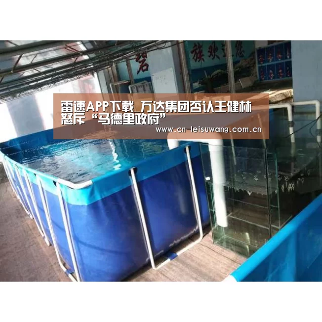 实时比分APP