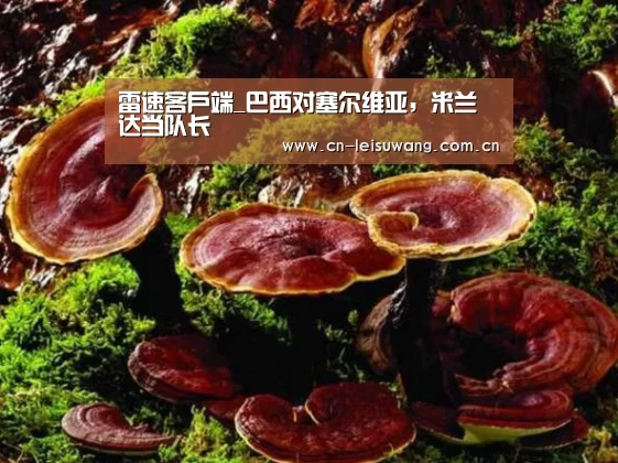 实时比分APP